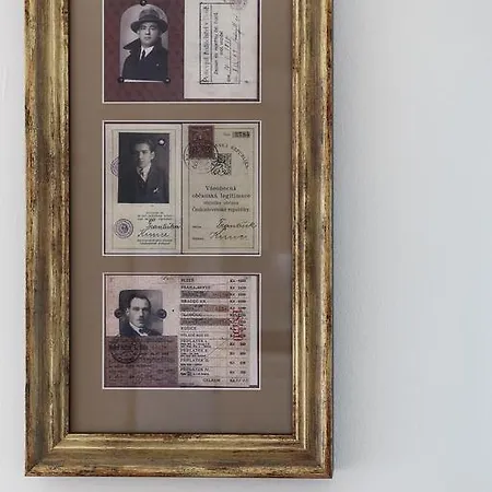 Prague1918 דירה פראג